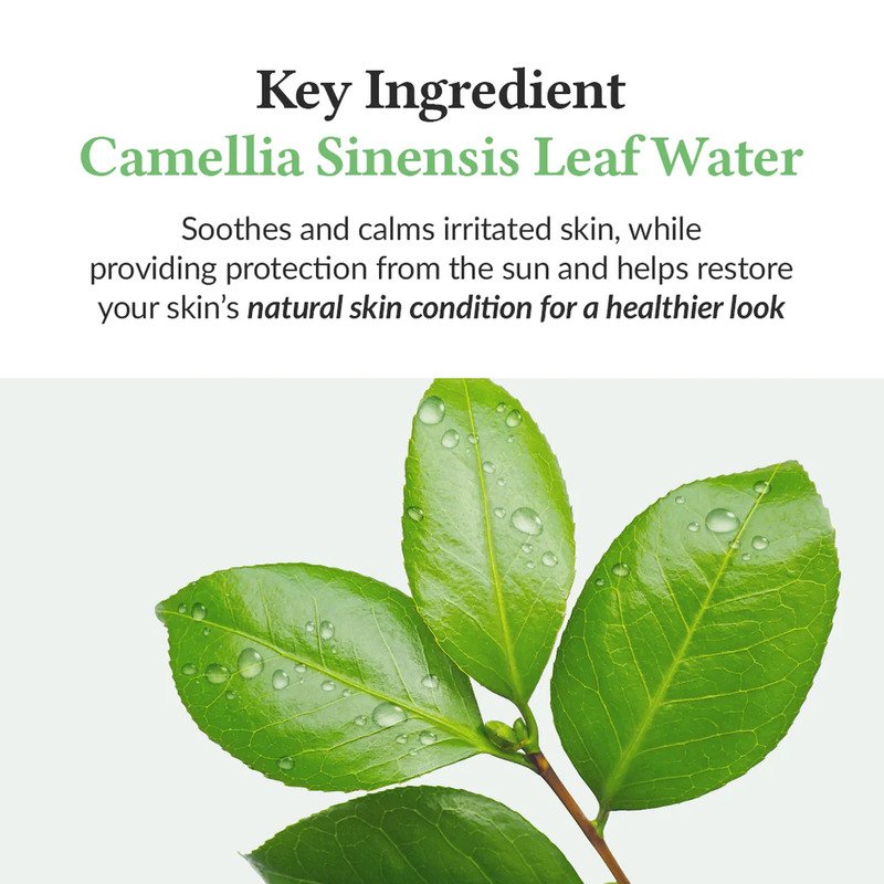 Dr. Althea Green Tea Fresh Sunscreen SPF50+/PA++++ – raminantis apsauginis kremas nuo saulės 2