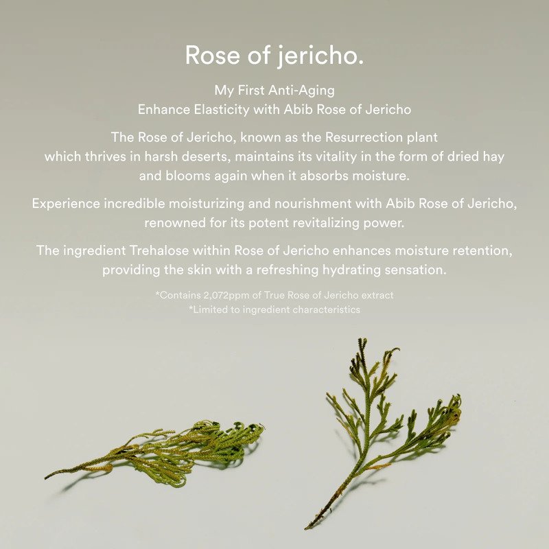 Abib Jericho Rose Bifida Serum Firming Drop – stangrinamasis serumas 4